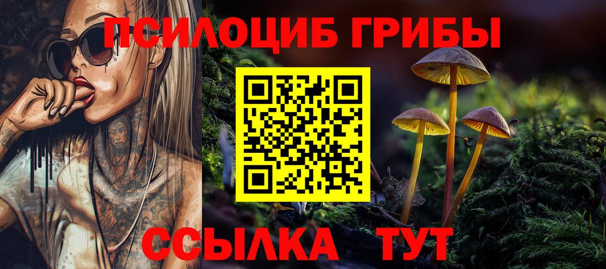 Боровичи  Псилоцибиновые грибы Psilocybe  Вход с VPN 