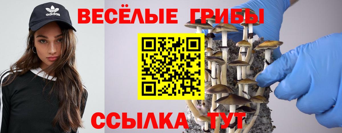 Псилоцибиновые грибы ЛСД Боровичи